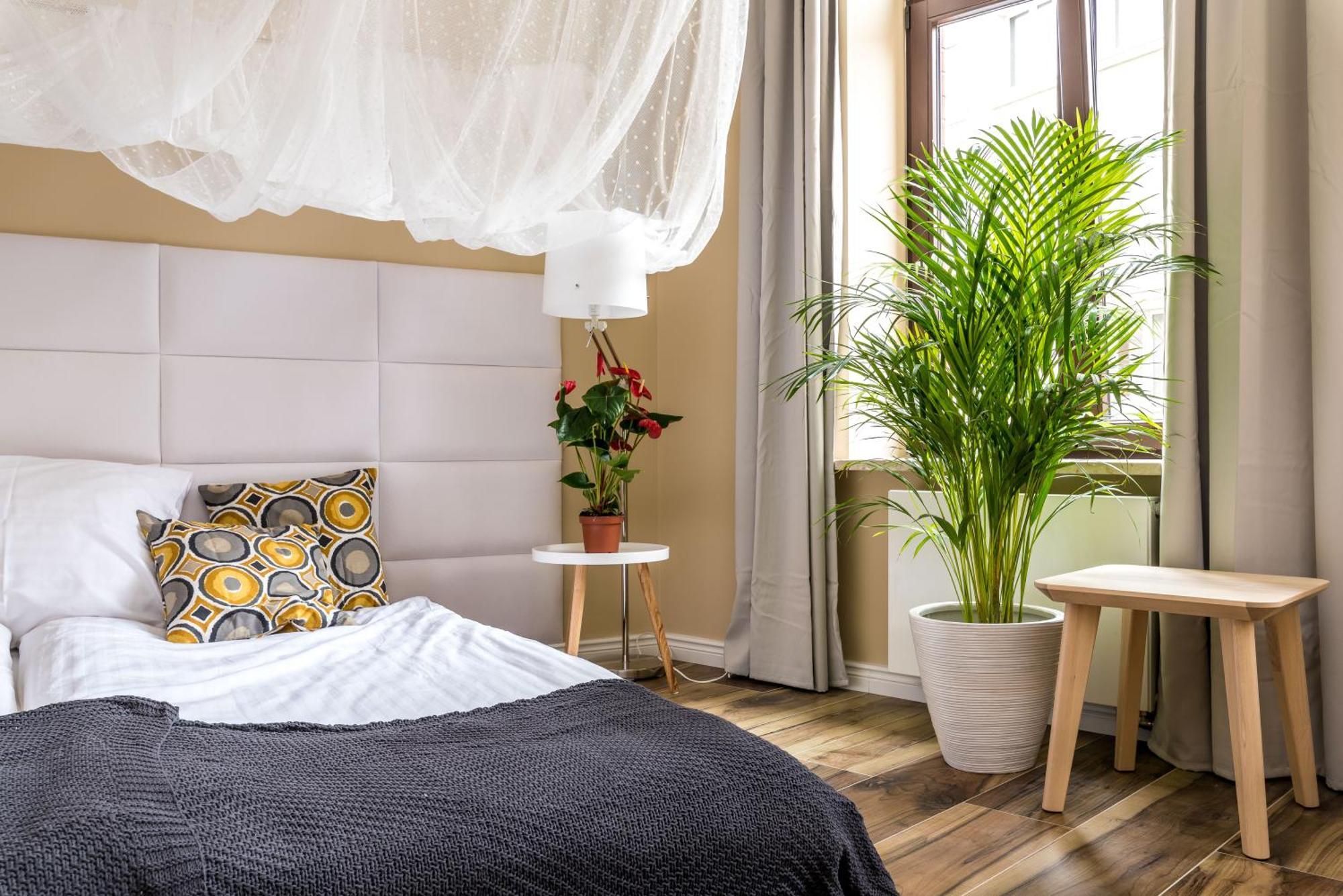 Cichy Zakatek Apartament Przy Starym Rynku Poznań Eksteriør bilde